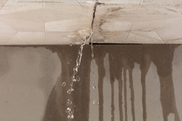 Professional Water Damage Inspection technician working in Round Top, TX